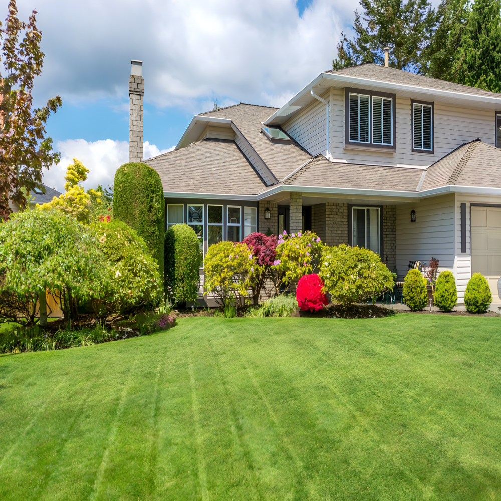 Tajna savršenog travnjaka – kako da vaše dvorište krasi zeleni tepih