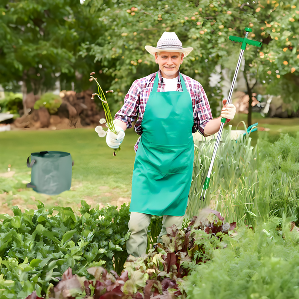 Top 6 baštenskih alata – za profesionalce, ali i početnike