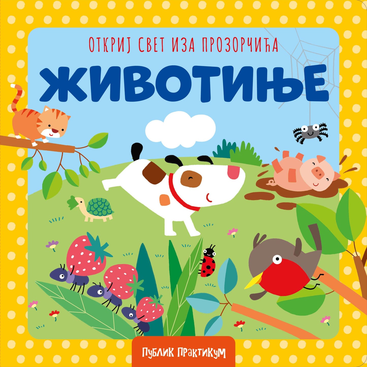 Otkrij svet iza prozorcica – Zivotinje - rs-mangoshop.com