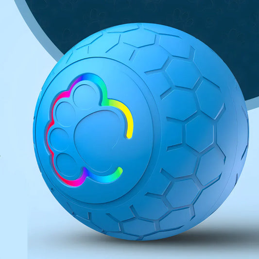 Koju igračku za mačku da kupim - Šta kažu veterinari?