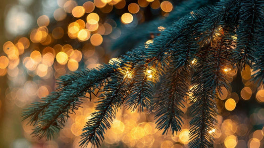 Najvažniji datumi, praznici i običaji u decembru u Srbiji