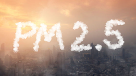 PM2.5 i pluća - Zašto su sitne čestice opasne i kako štete zdravlju?