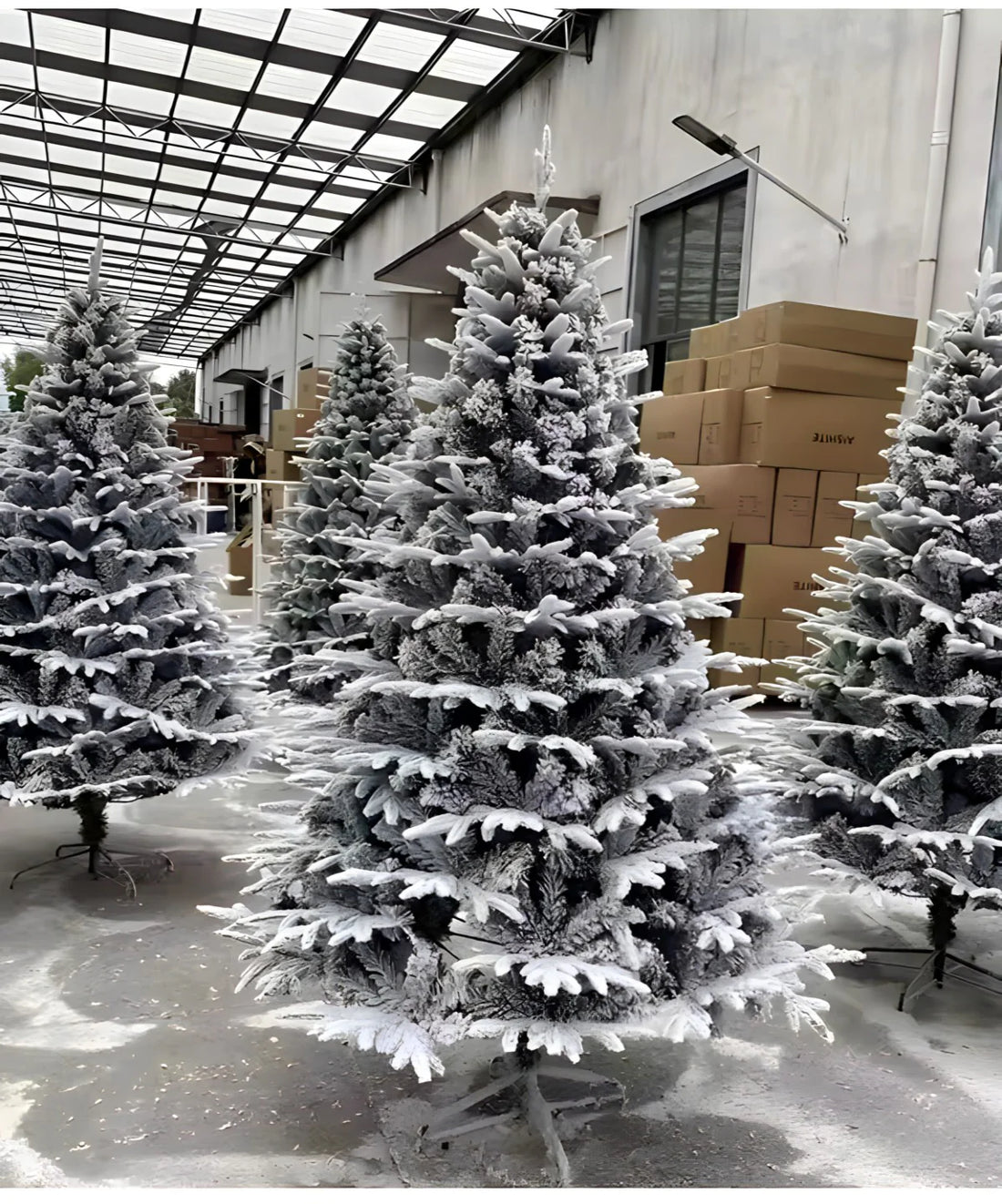 Novogodišnje jelke cena 2025 - Prosečne cene i tipovi jelki