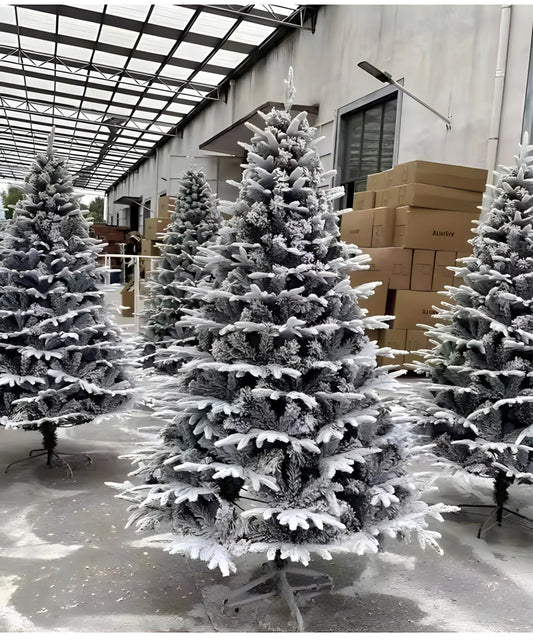 Novogodišnje jelke cena 2025 - Prosečne cene i tipovi jelki