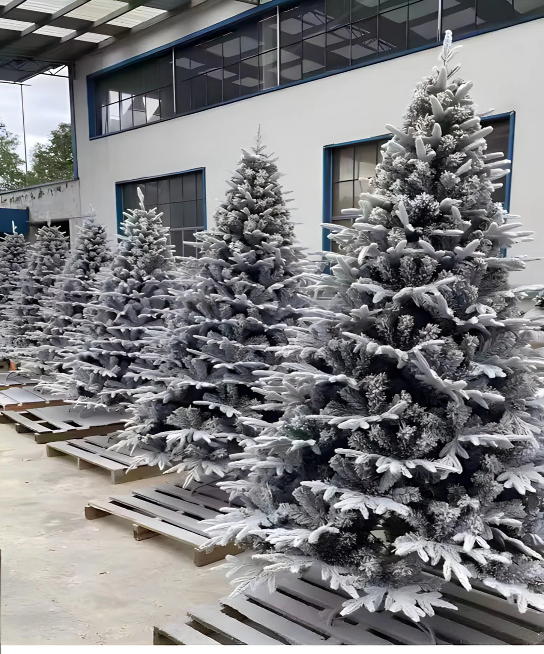 Novogodišnje jelke iz Mango Shopa na akciji – Povoljniji izbor od Metro, Ikea i Jysk ponude