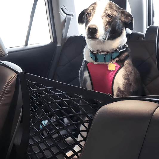 Šta je pregradna mreža za pse i ljubimce u kolima? - 3 razloga zašto morate da je imate