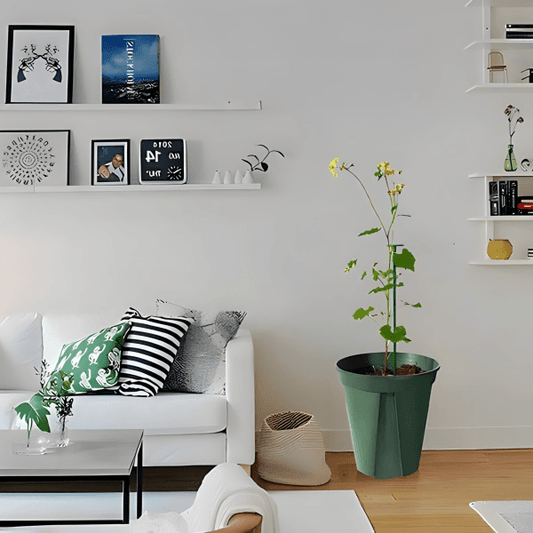 Stalak i nosači za cveće – Kako organizovati zeleni kutak u stanu