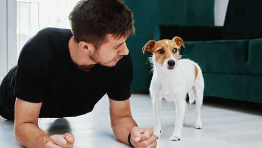 Trening snage kod kuće - Do brzih rezultata