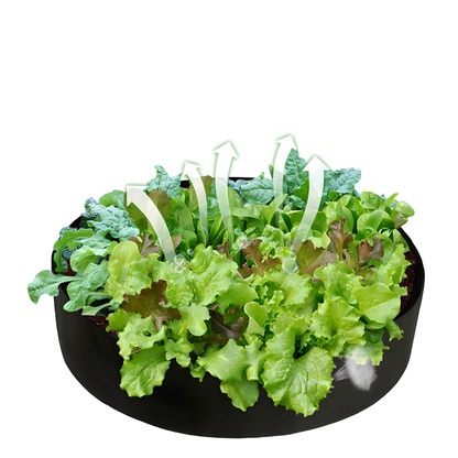 Bastenska vreca od tkanine - Platnena povisena leja za sadjenje raznih biljaka - rs-mangoshop.com