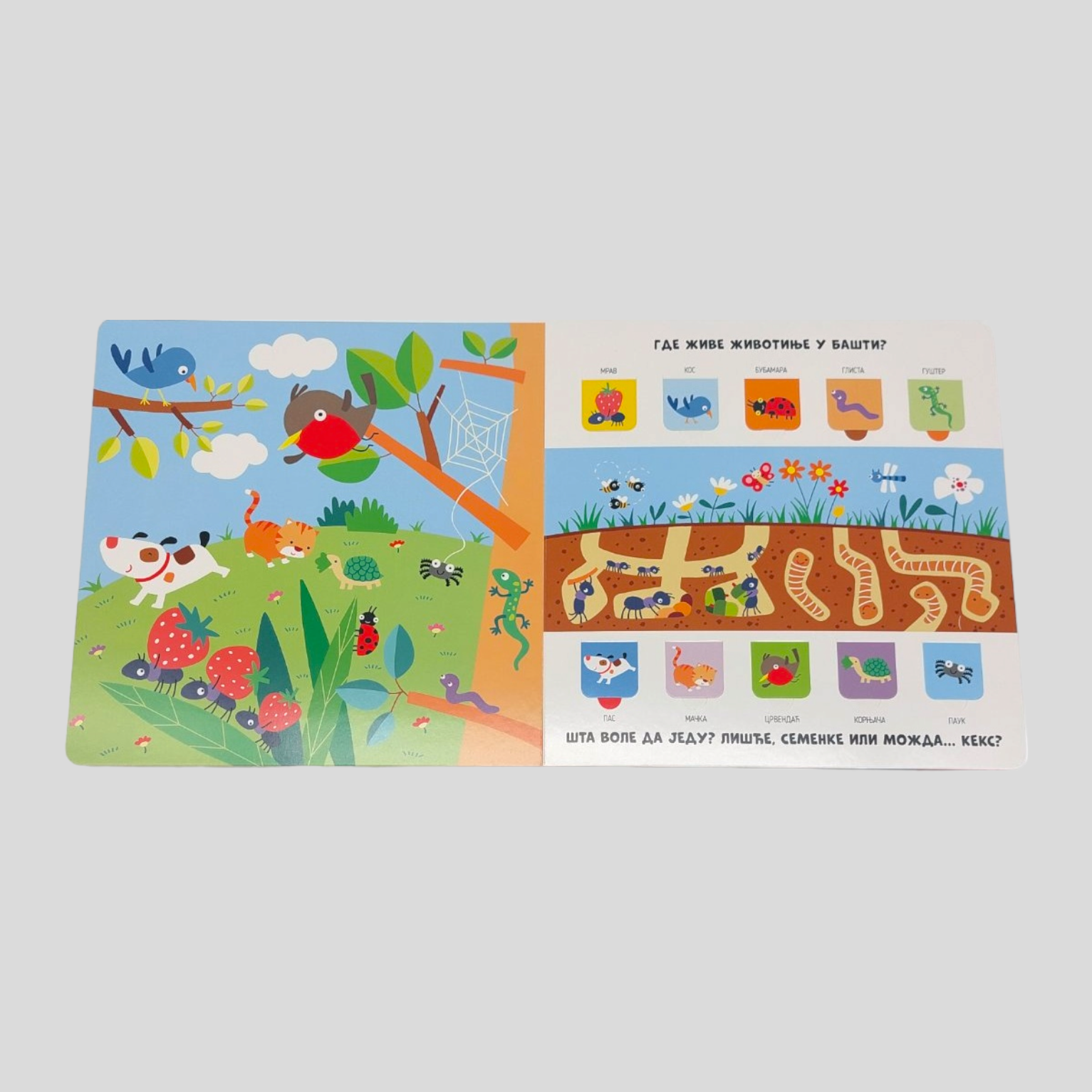 Otkrij svet iza prozorcica – Zivotinje - rs-mangoshop.com