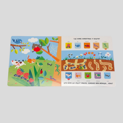Otkrij svet iza prozorcica – Zivotinje - rs-mangoshop.com