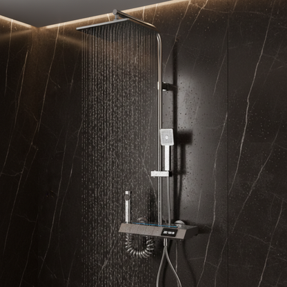 Luksuzni zidni tuš sa dodacima i displejom