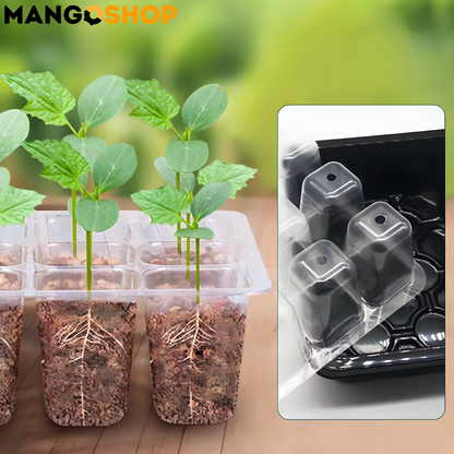 Set za rasad i klijanje biljaka sa podesivom ventilacijom – rs-mangoshop.com