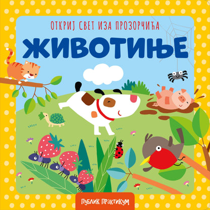 Otkrij svet iza prozorcica – Zivotinje - rs-mangoshop.com